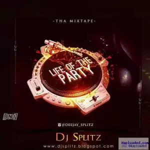 Dj Splitz - Life Of The Party Mix